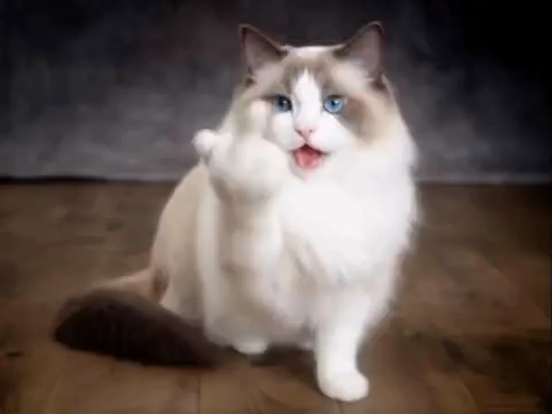 Den Mittelfinger zeigen: Erstelle kostenlose KI-Videos zum Zeige den Finger  | Pollo AI, image size:1080x810