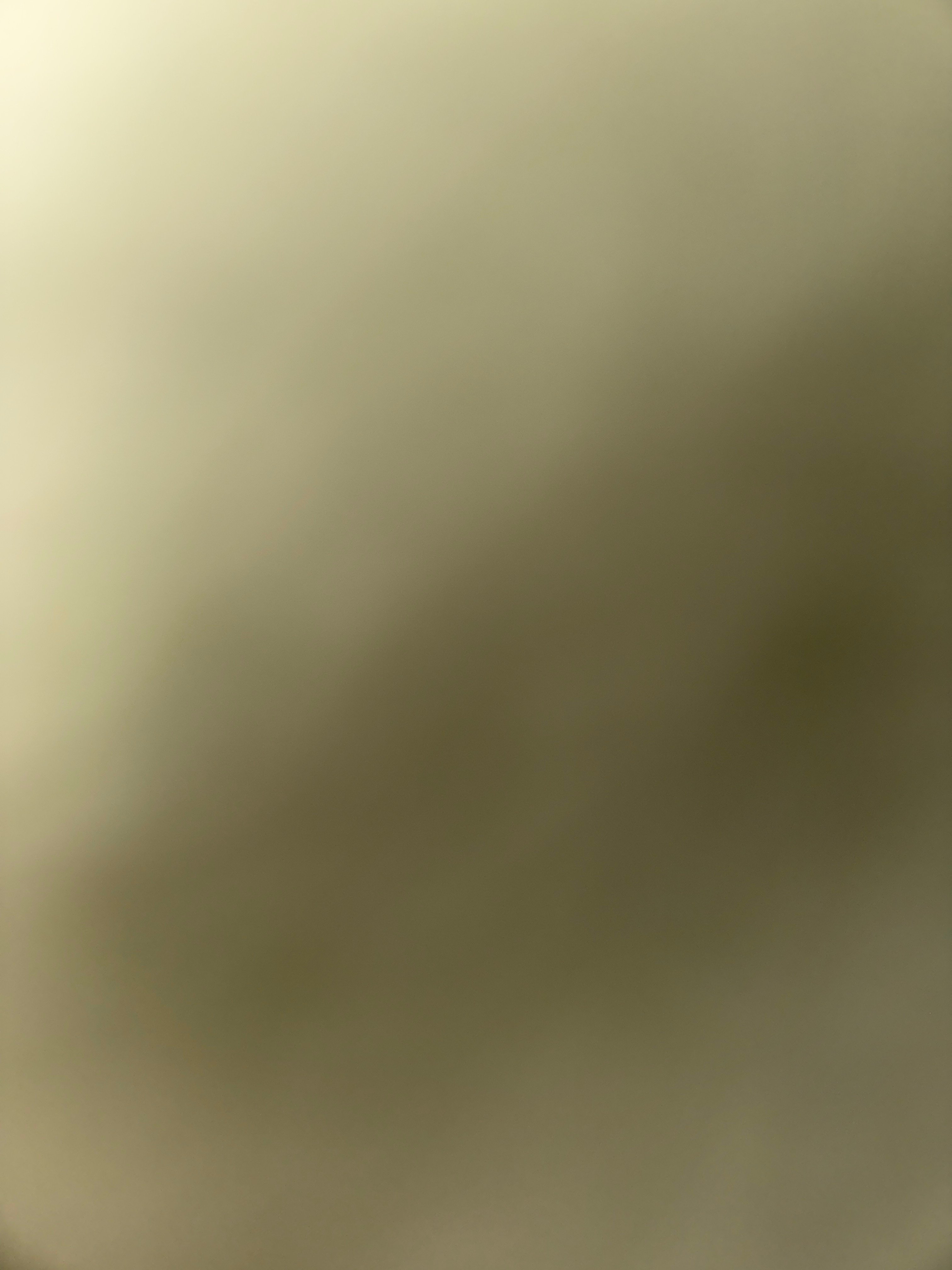 Sp T