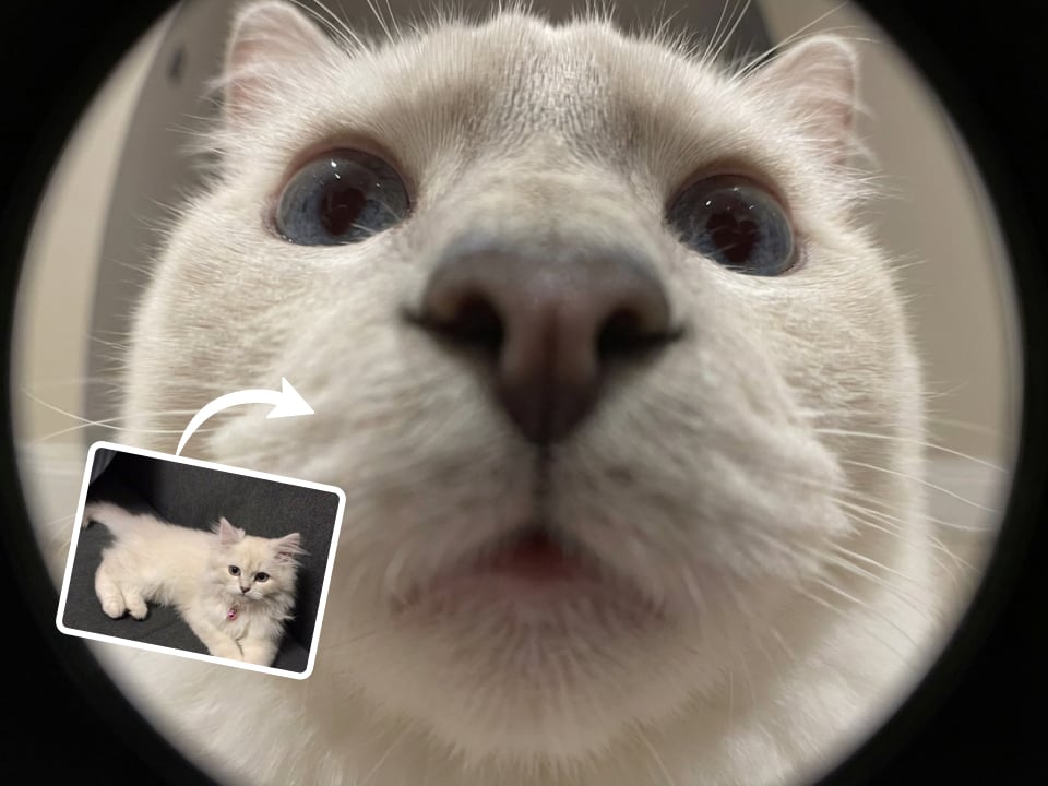 Fisheye Lens