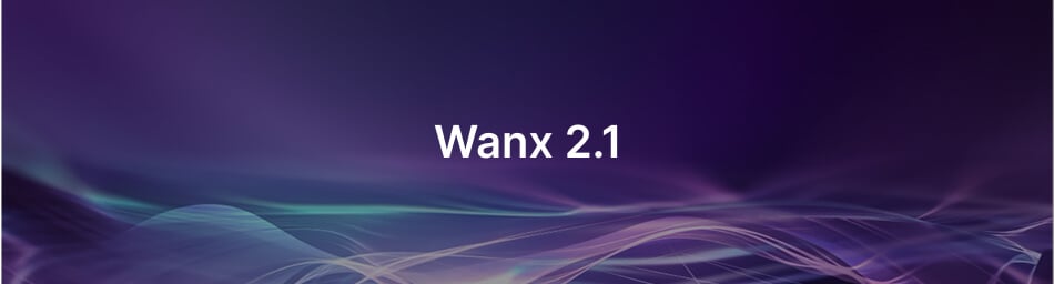 Wan 2.1